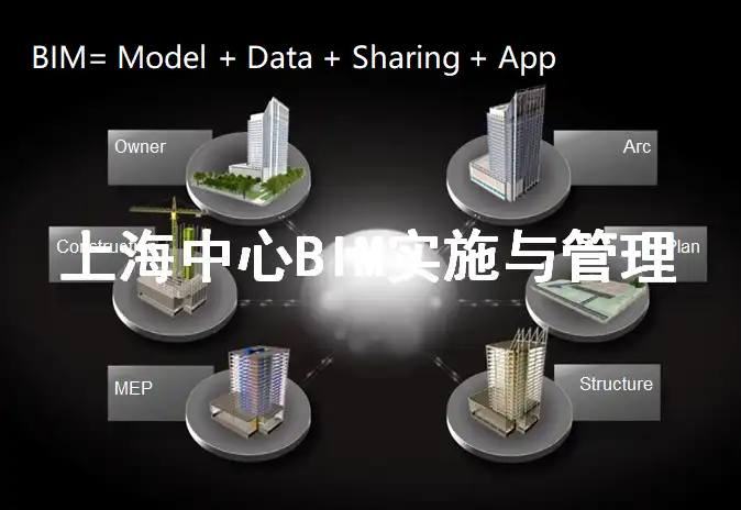 上海中心BIM实施与管理插图