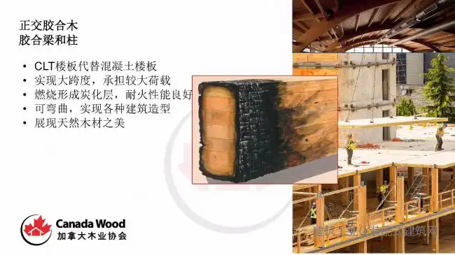 装配式|Paul Newman：木结构技术在装配式建筑中的应用潜力-BIM基地-12